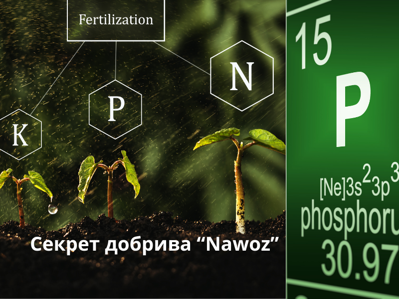 Секрет добрива гумат калію "Nawoz"